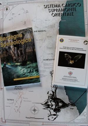 Sardegna Speleologica n° 29