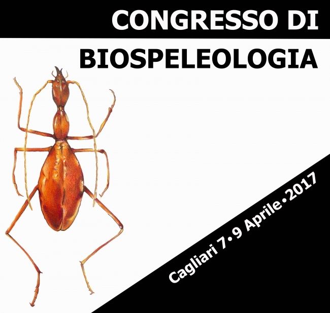 Bando di concorso biospeleologia