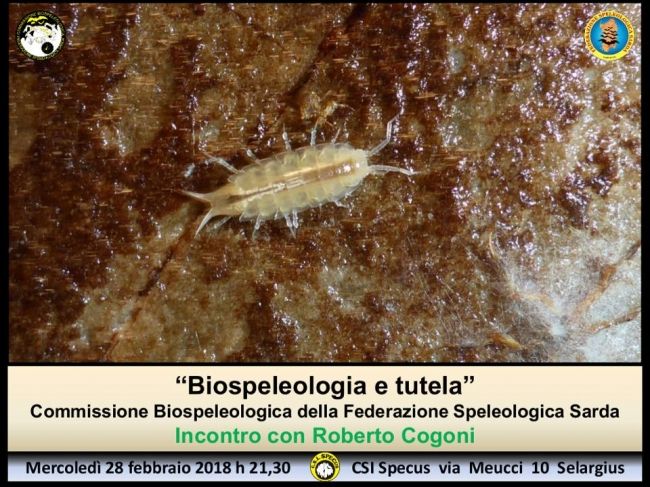 Incontri al CSI SPECUS. Prossimo Incontro mercoledì 28 Marzo 2018