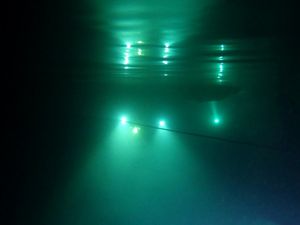 La congiunzione Bue Marino-Su Molente