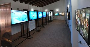 Terra Nascosta - Mostra Fotografica