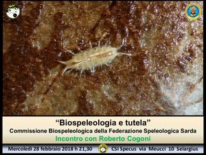 Incontri al CSI SPECUS. Prossimo Incontro mercoledÃ¬ 28 Marzo 2018