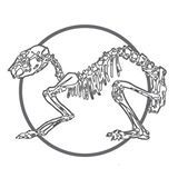 Gruppo Grotte Nuorese - Corso di Speleologia