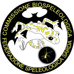 Quinto appuntamento presso la mostra "La Sardegna Sotterranea"